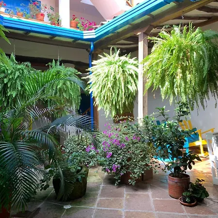 Meraki Boutique Hostel San Gil Exterior photo
